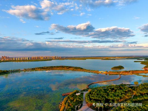 东丽湖