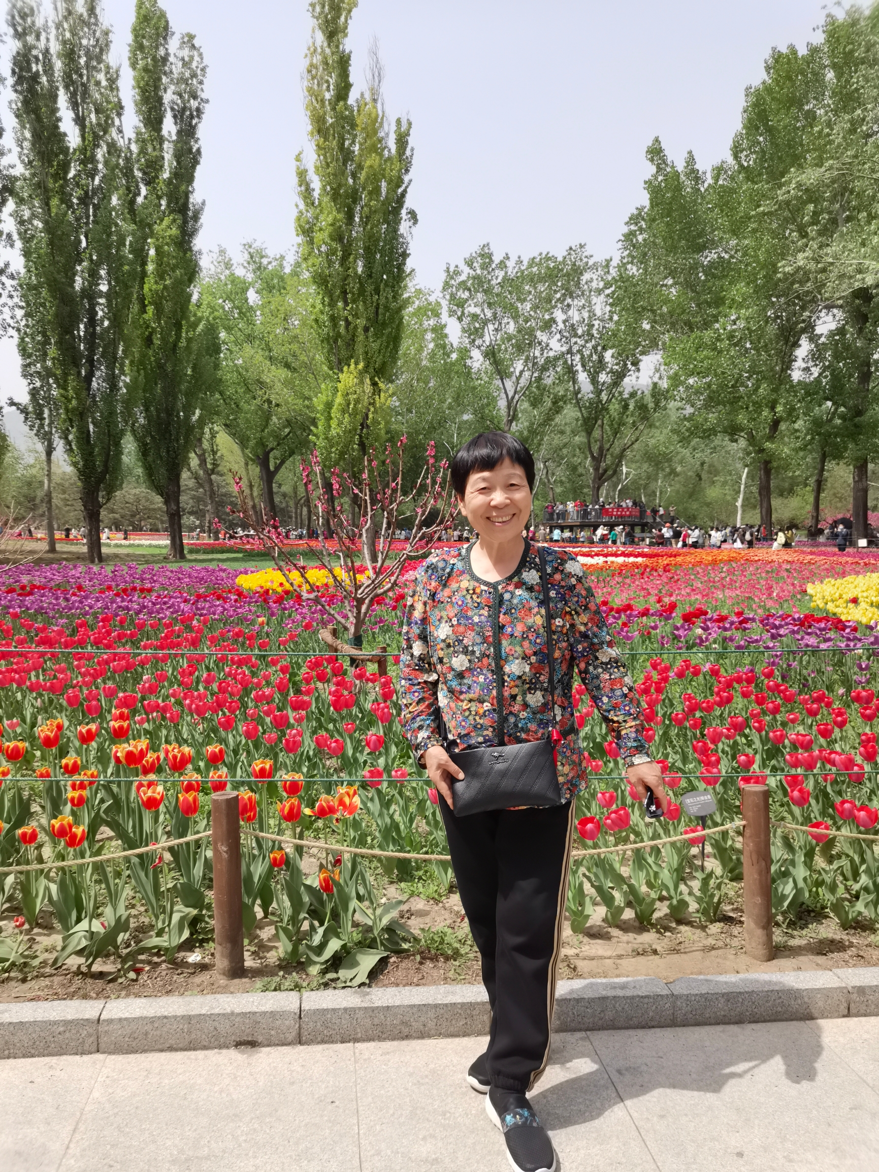 赏花好时节，鲜花盛开#超人气赏花胜地 国家植物园（原北京植物园）  👍最推荐：