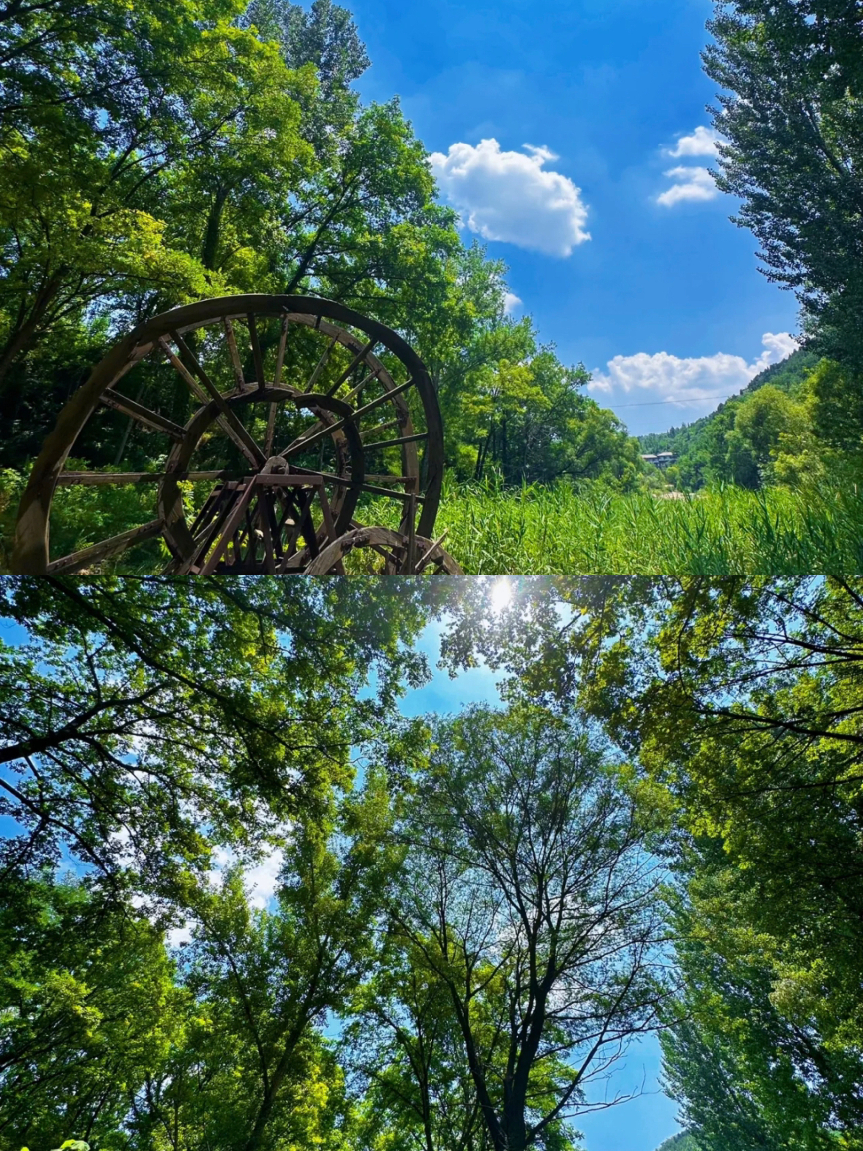 淄博山里避暑-遛娃 淄川牛记庵📍📍📍