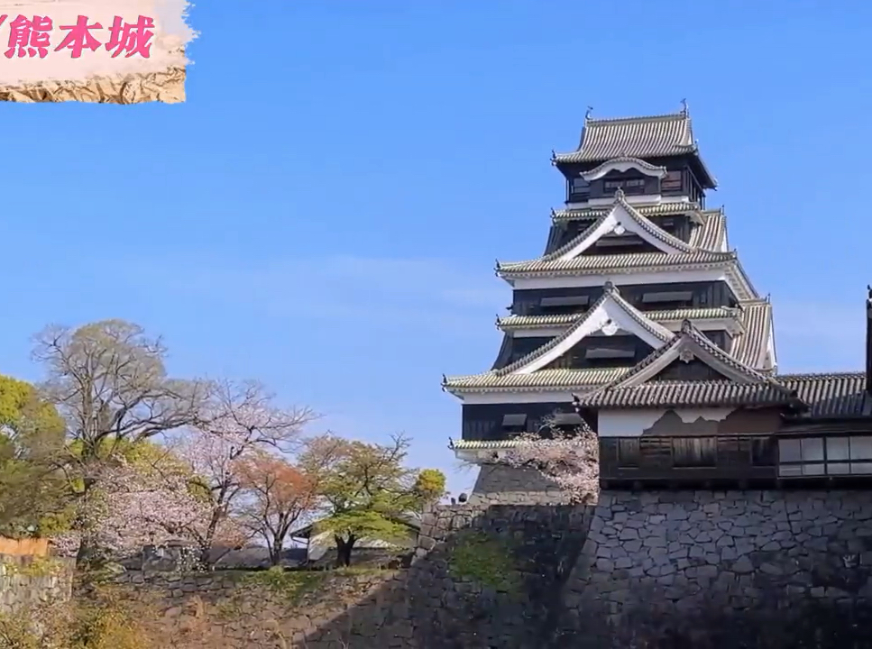 熊本城，春日里的千年守望 — 邀你共赏樱花 🏯🌸