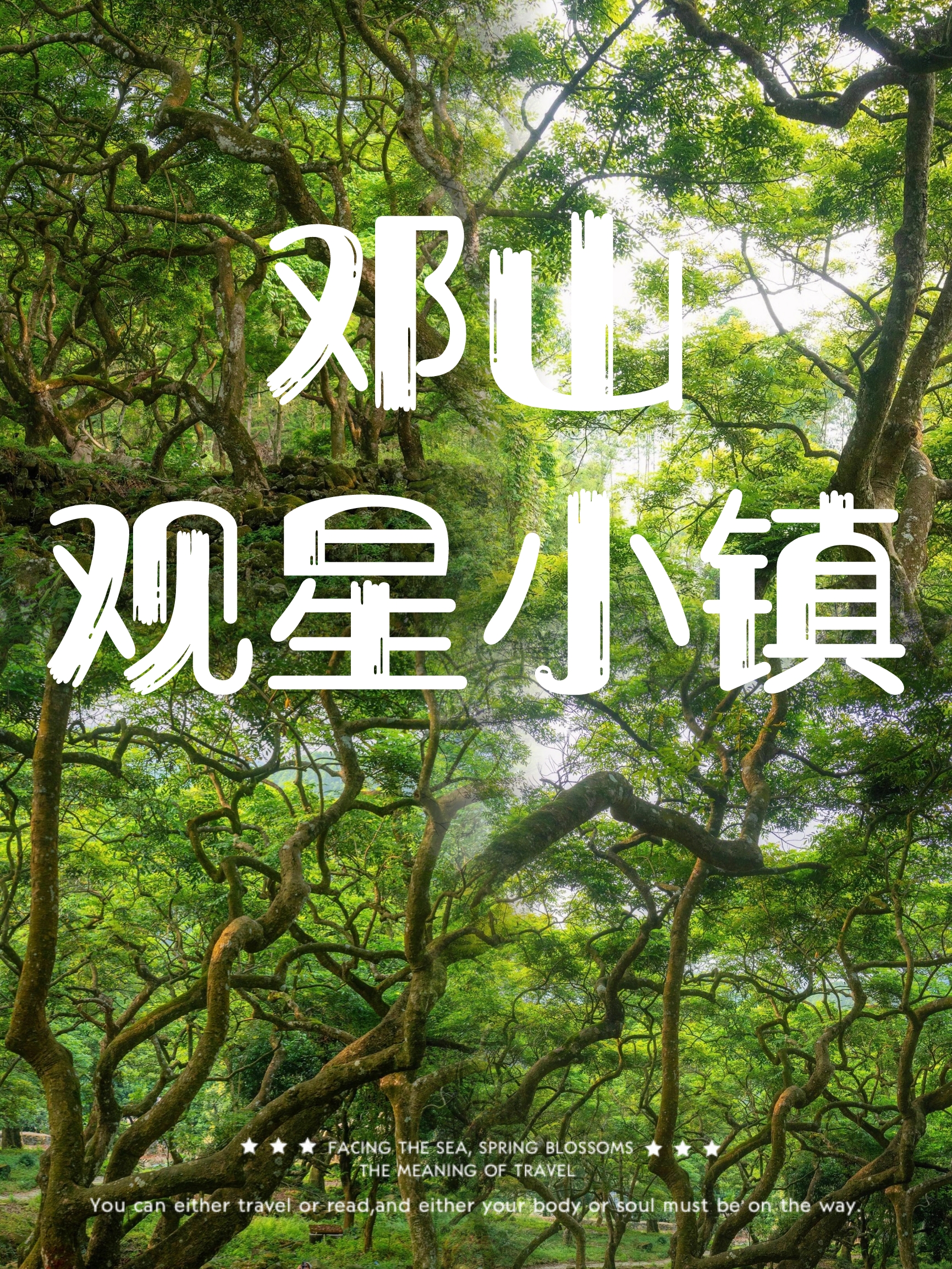 广州｜邓山神仙秘境✨森林吸氧 绿野仙踪🌿