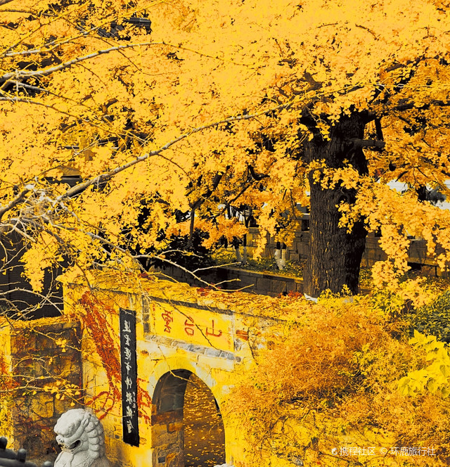 七渡花果山位于北京市房山区十渡镇七渡村,是一处集自然风光与休闲