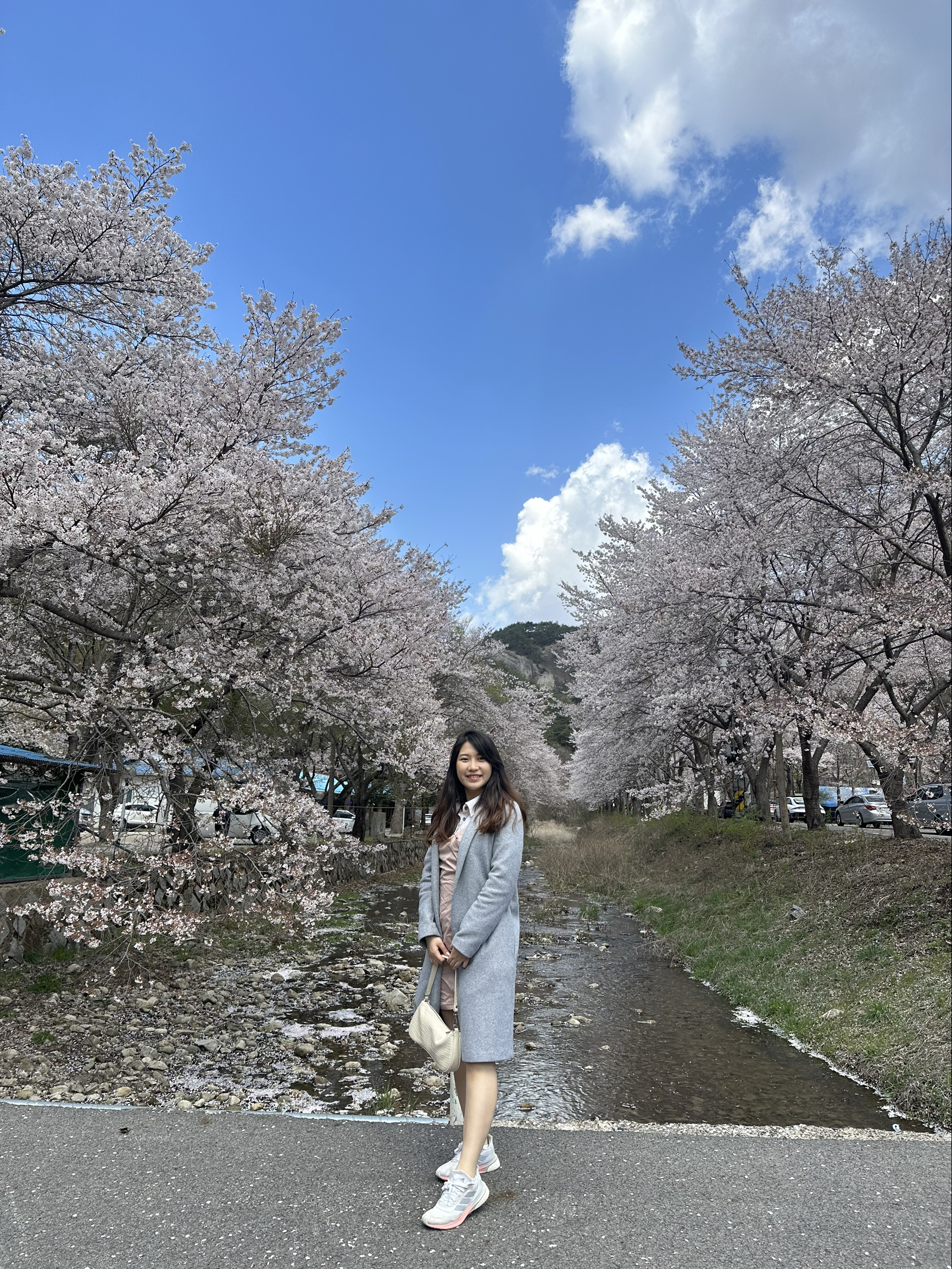 【首尔出发4小时】韩国小众赏樱花地点-马耳山道立公园