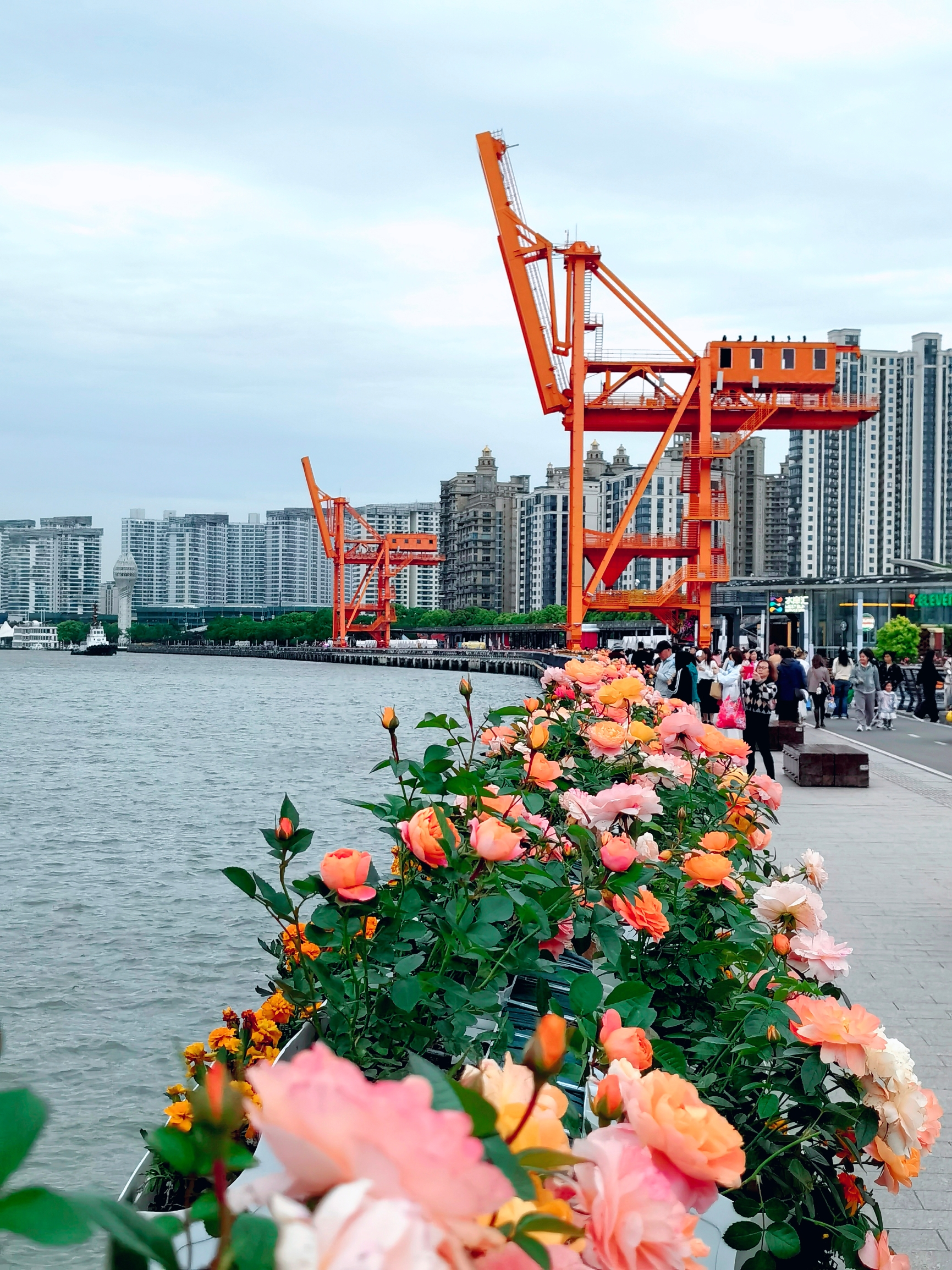 徐汇滨江，鲜花灿烂