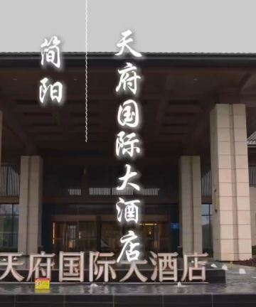 天府国际大酒店(成都天府机场店)图片