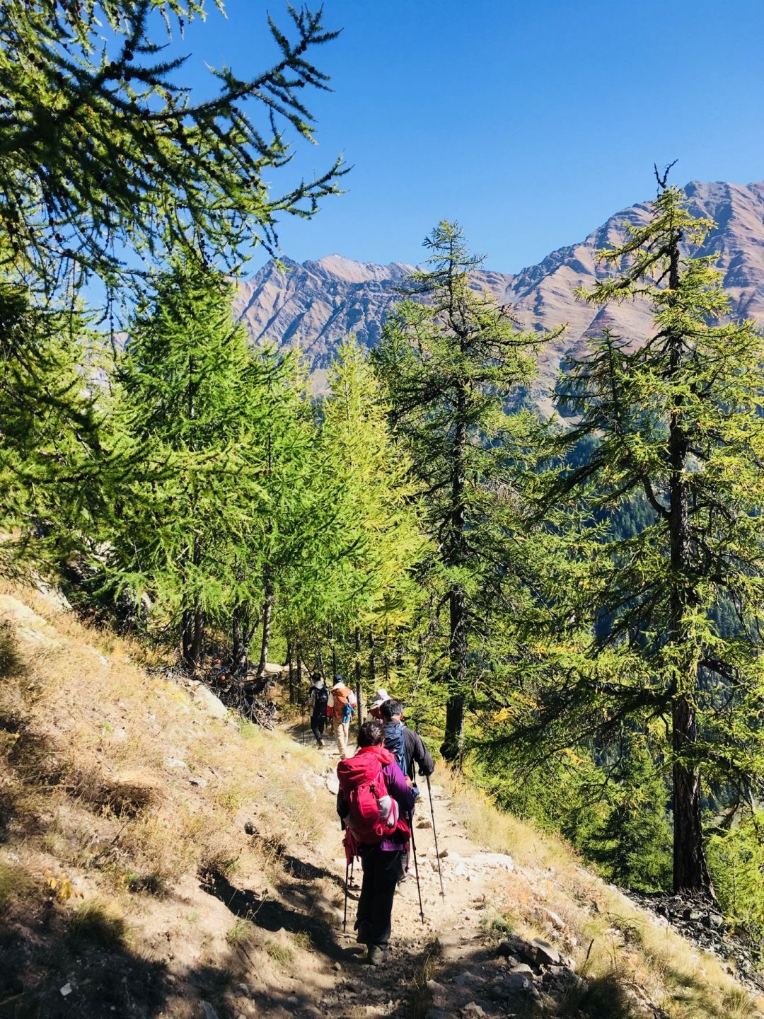 欧洲徒步勃朗峰❓你需要知道的10件事❗️