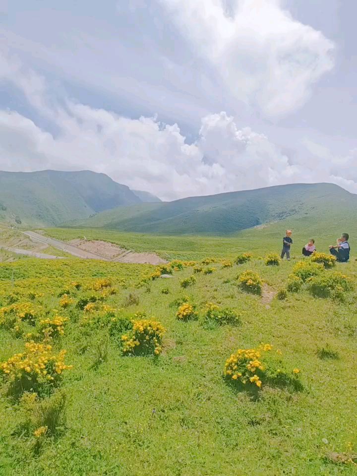 开启我的浪山模式。黄草坪林场 夏天的美景和快乐