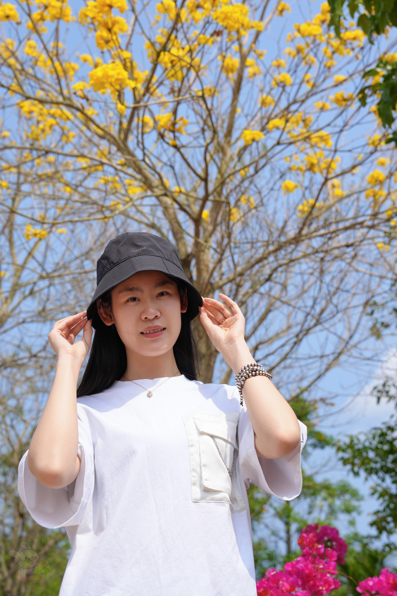 ✅春天赏花去哪里❓海南昌江这片花海🌸在等你