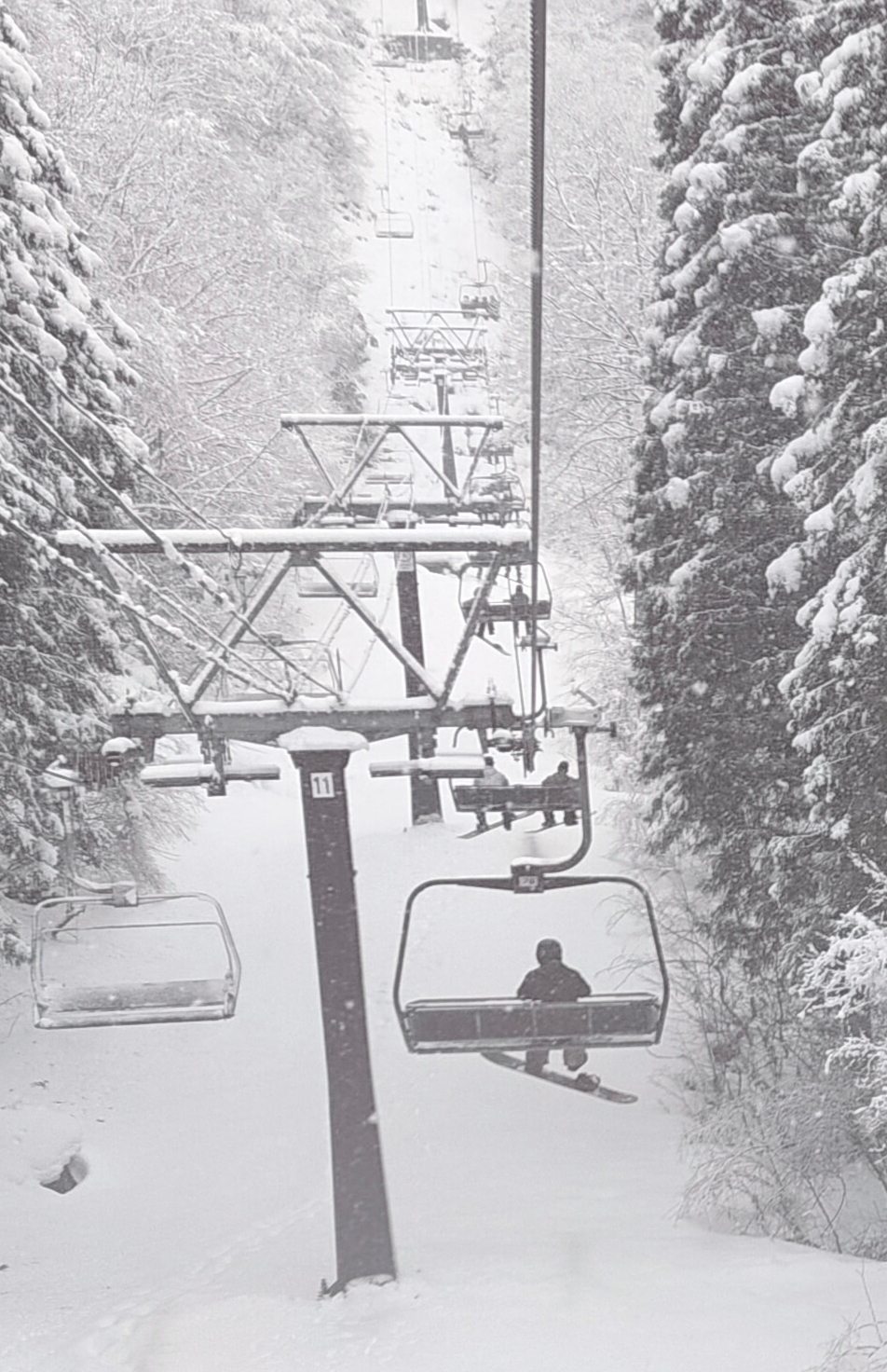 漫天风雪下的滑雪之旅