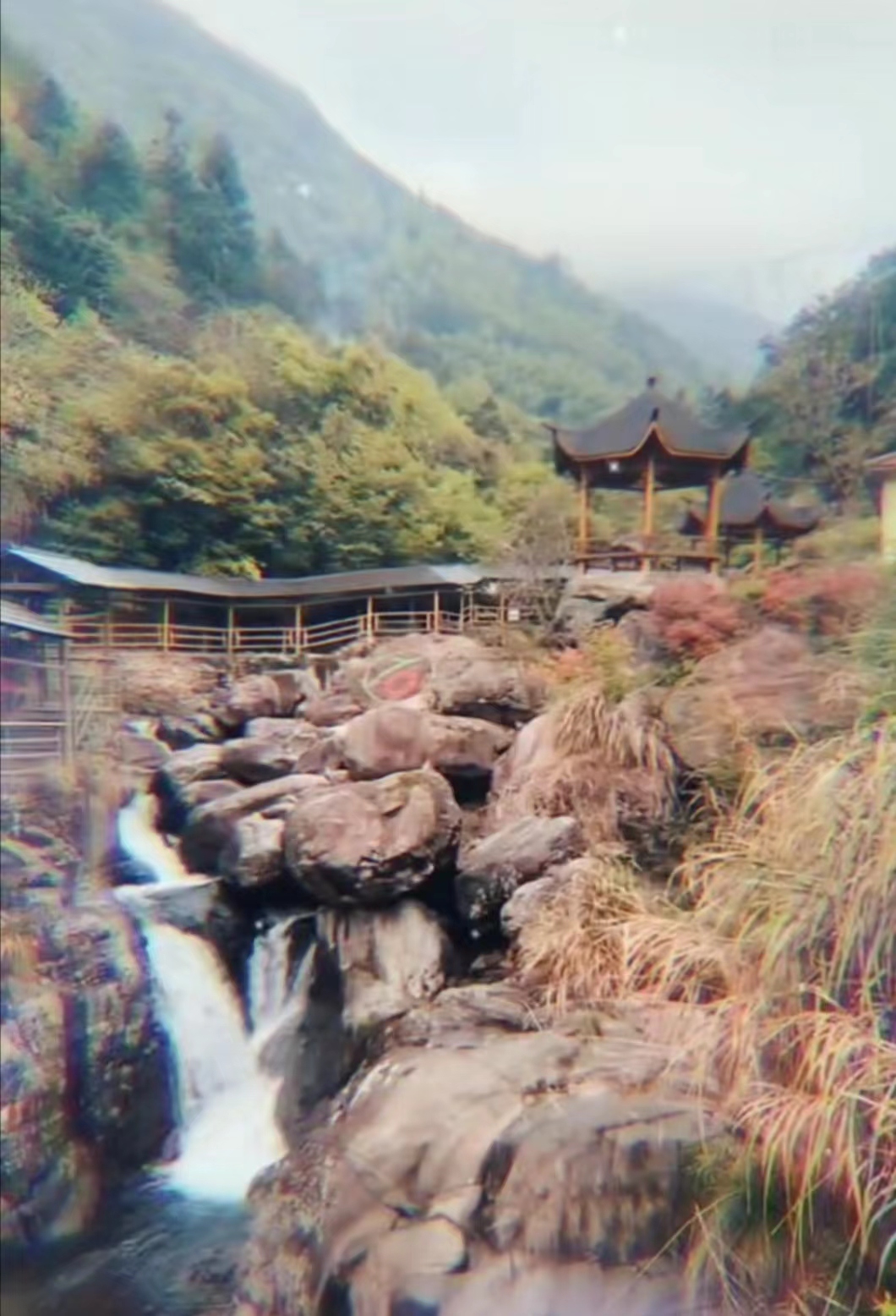 约朋友们一起去天目山大峡谷游玩，这里山清水秀，风景非常美丽，这里打卡颇有一番风味！大峡谷国家公园