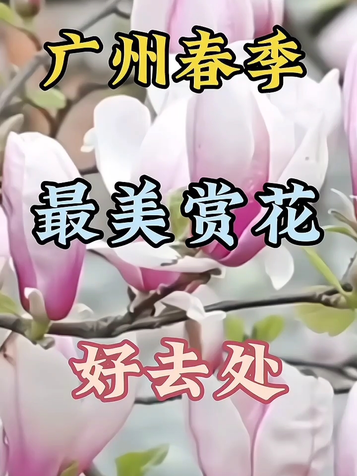 广州春季最美赏花好去处