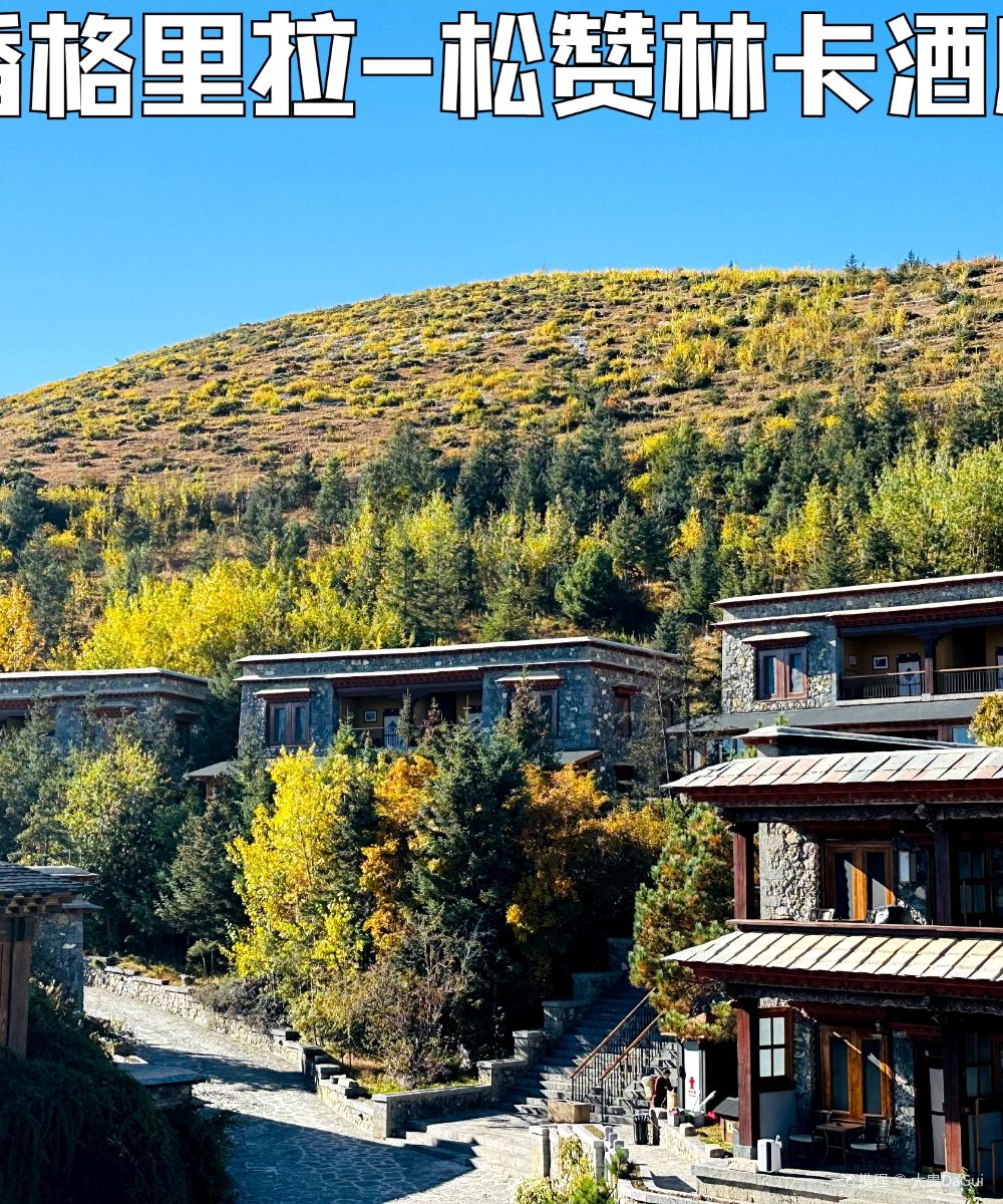 香格里拉松赞林卡酒店图片