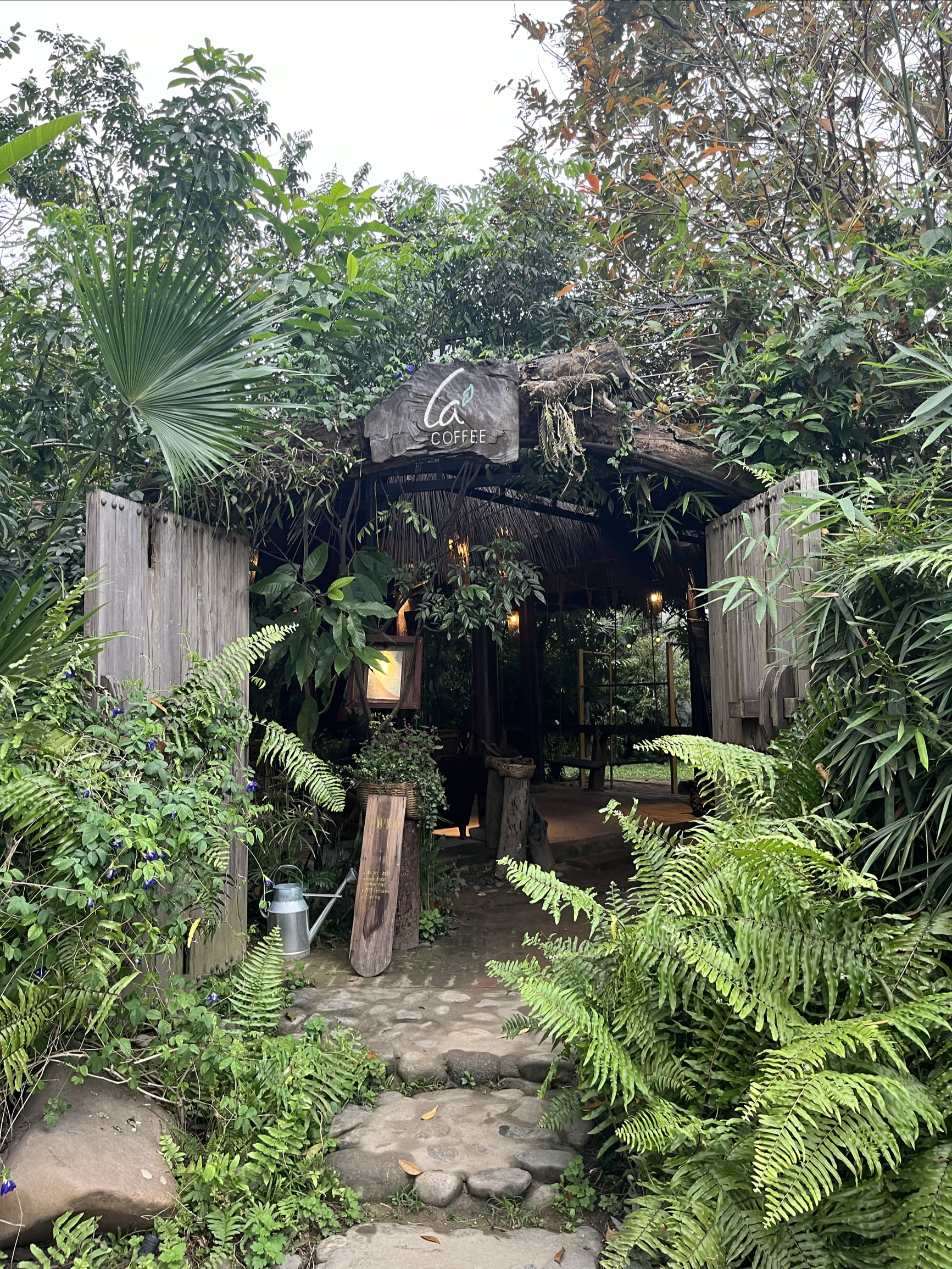 Lá cà phê雨林中的咖啡店