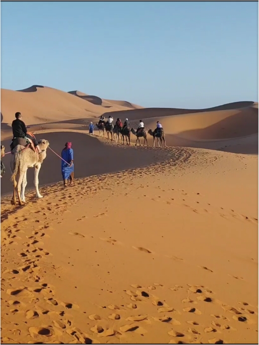 撒哈拉沙漠——梅祖卡沙漠骑骆驼