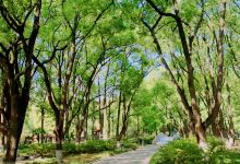 青山景点图片