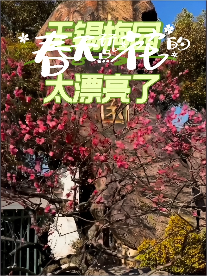 #春天玩点花的  无锡梅园 花开三四成 最是婉约时 春天从梅园开始 十里梅香喜迎春 拍照打卡正当时#