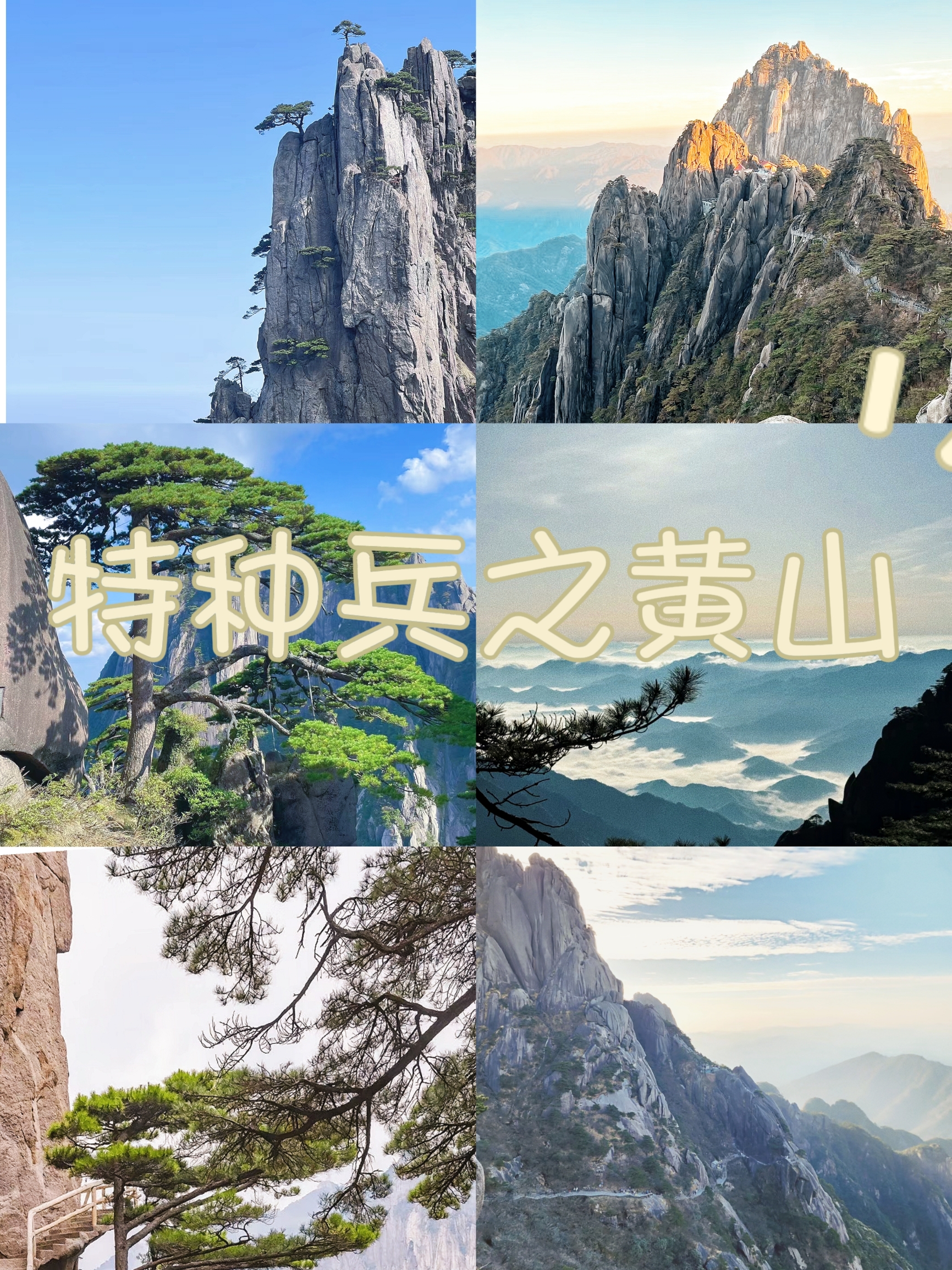 黄山归来不看岳，五岳归来不看山#五一爬山必去🐒🐒