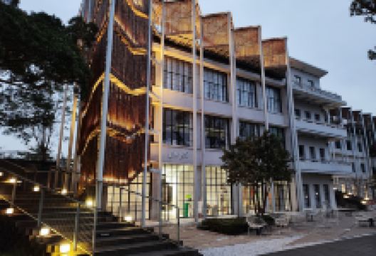 问茶长廊景点图片