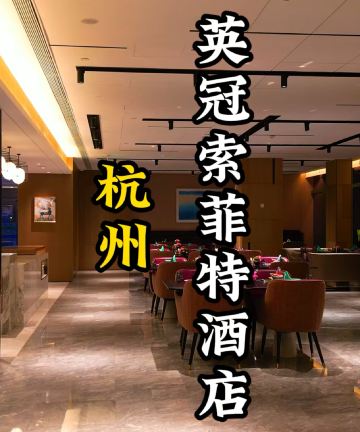 杭州英冠索菲特酒店图片