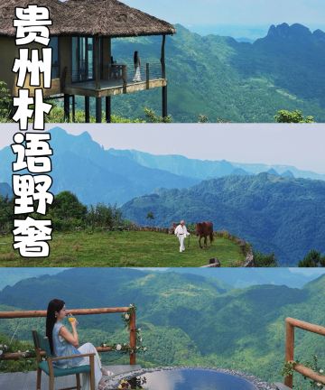 朴语野奢图片