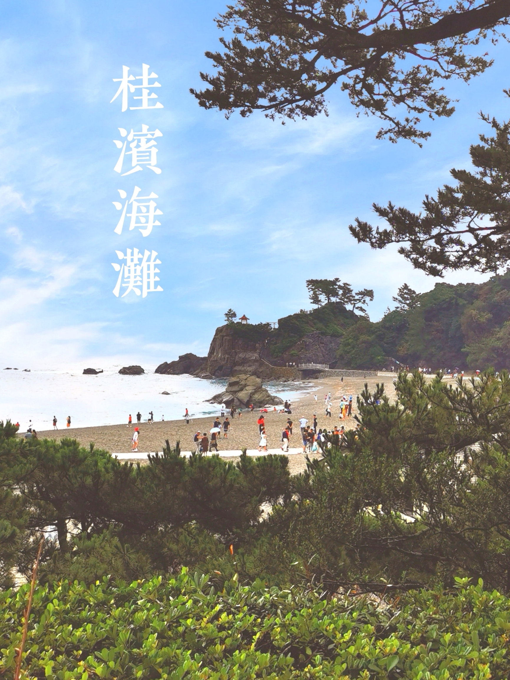 日本旅游｜一起去桂滨海滩看海，山水相映成趣