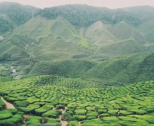 马来西亚避暑圣地金马伦高原游玩攻略