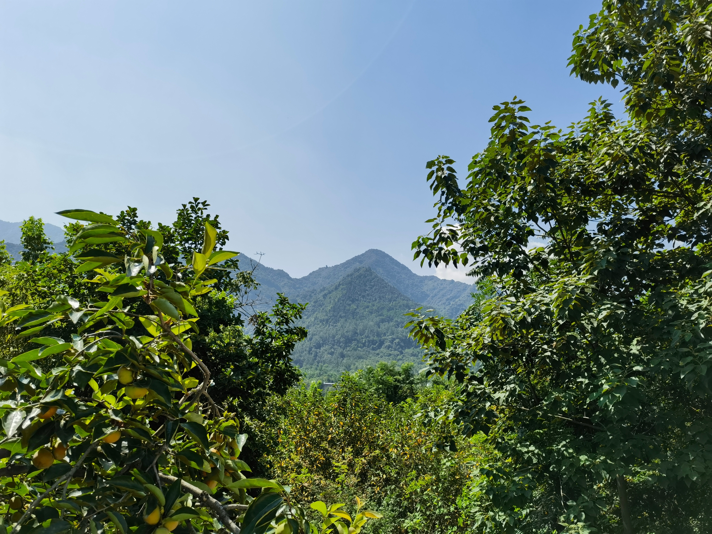 鄠邑区的山