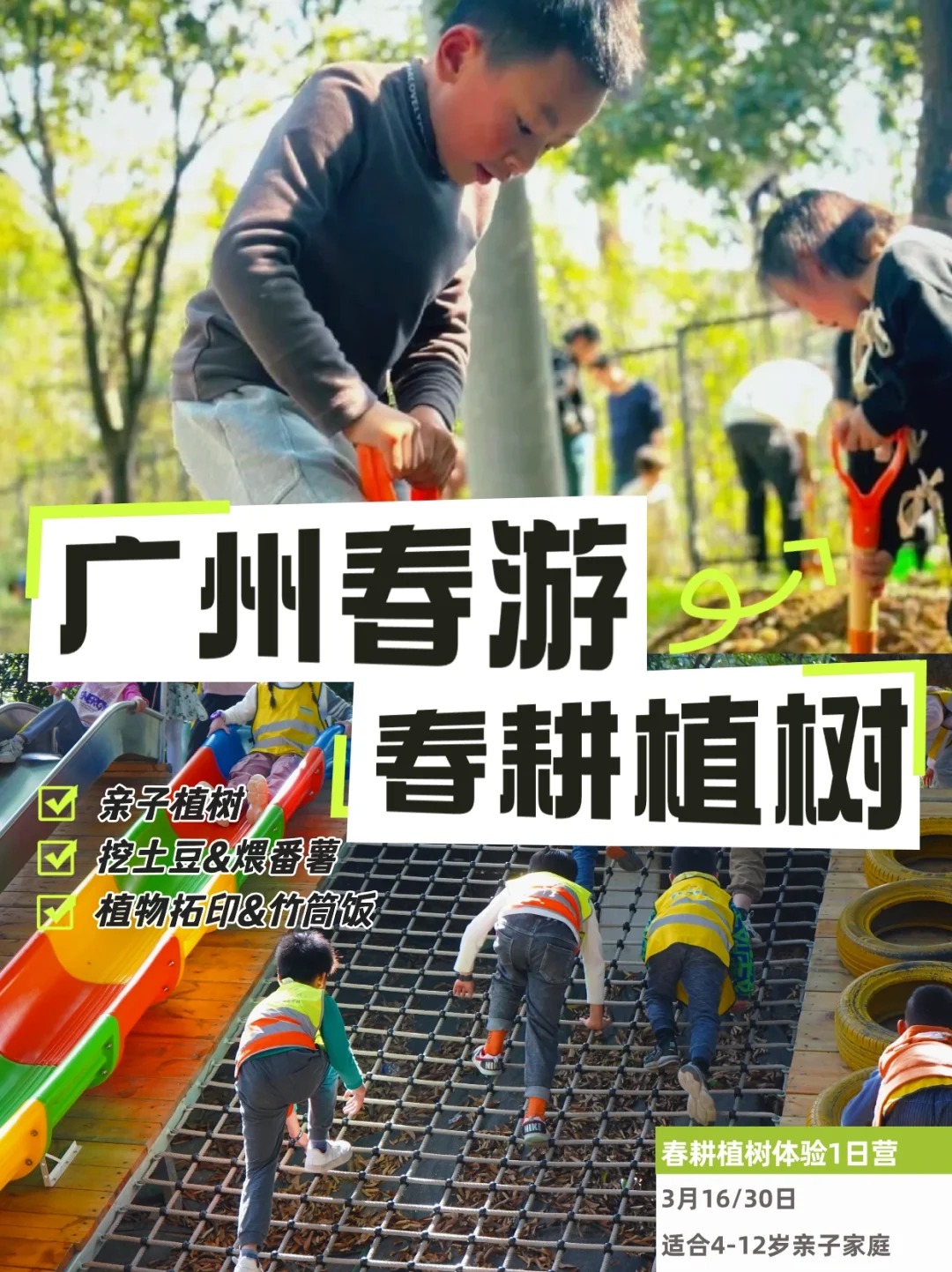 广州增城春游|让小树苗🌱和孩子一同成长
