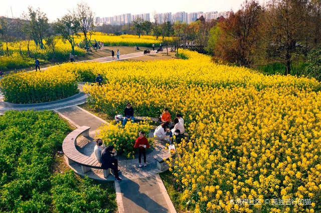 宁波植物园|春日出游看这里