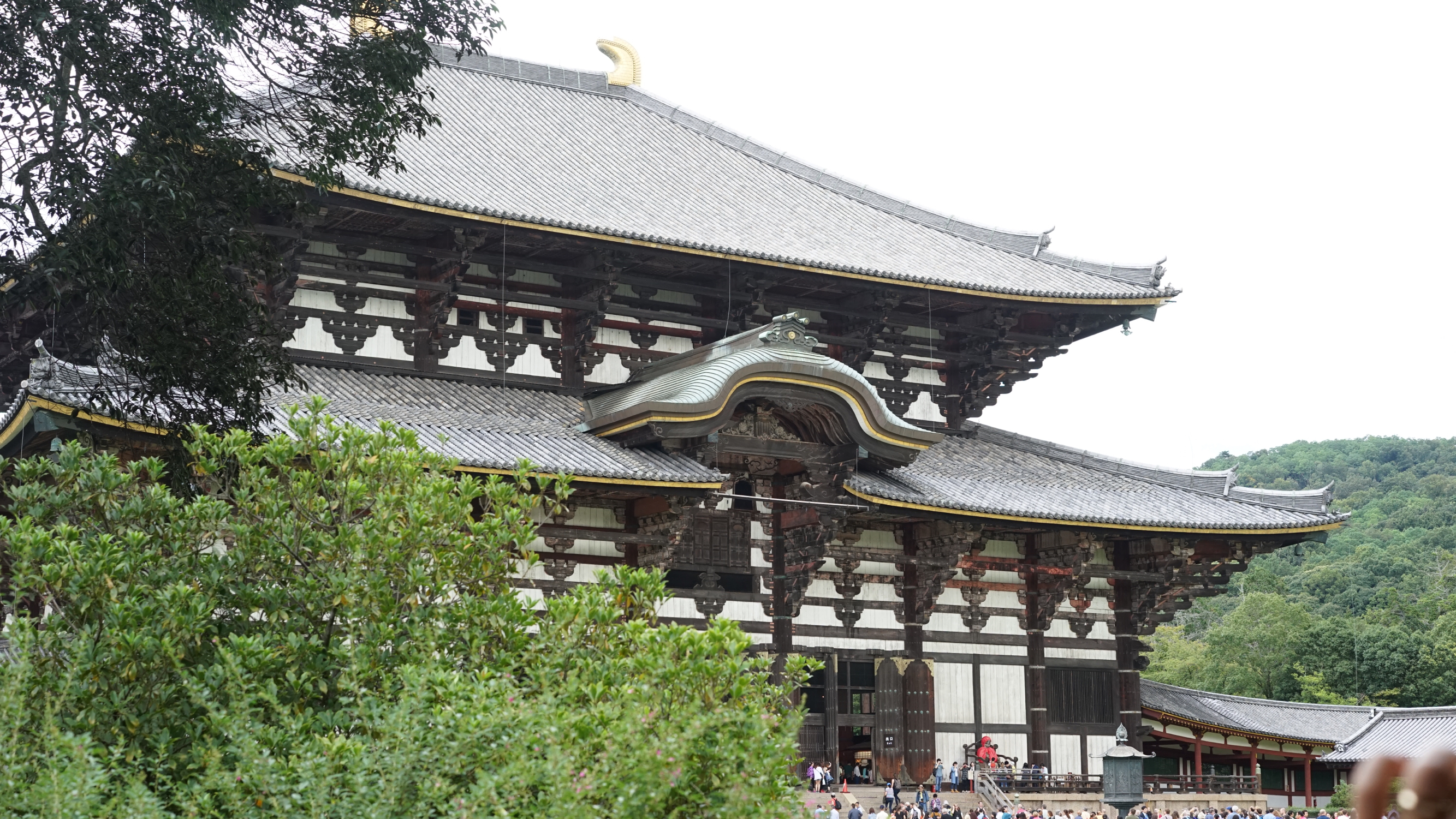 奈良东大寺 世界第一大最大的单体木质建筑！一千两百年前的平城京是仿照大唐长安城营建的，东大寺深受唐宋