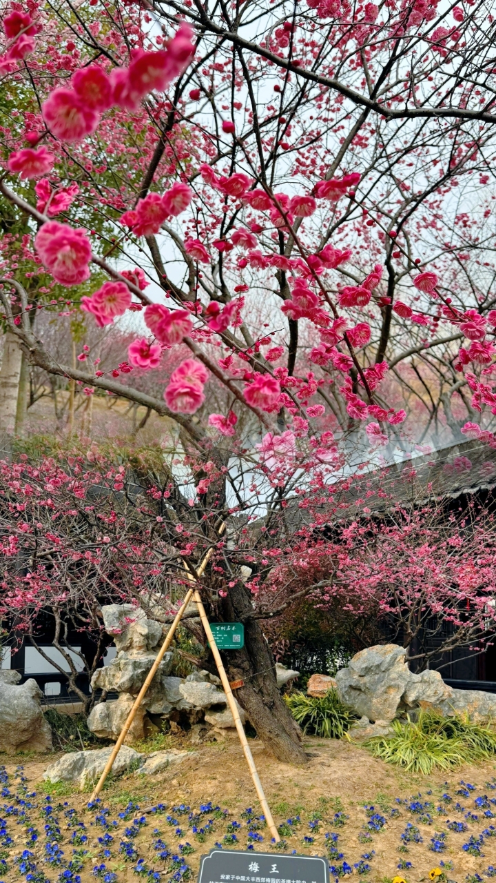 粗茶淡饭(育红路店)