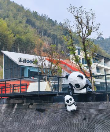 安吉竹仙湖君澜庄园·直升机酒店图片