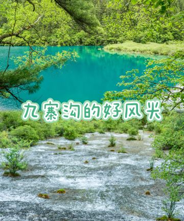 九寨沟丽呈花园酒店图片