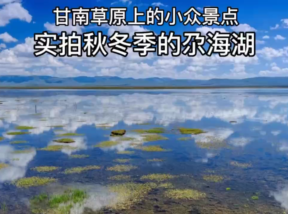 #草原 #自驾游宝典 #甘南尕海湖 在草原上感受风与水的拥抱