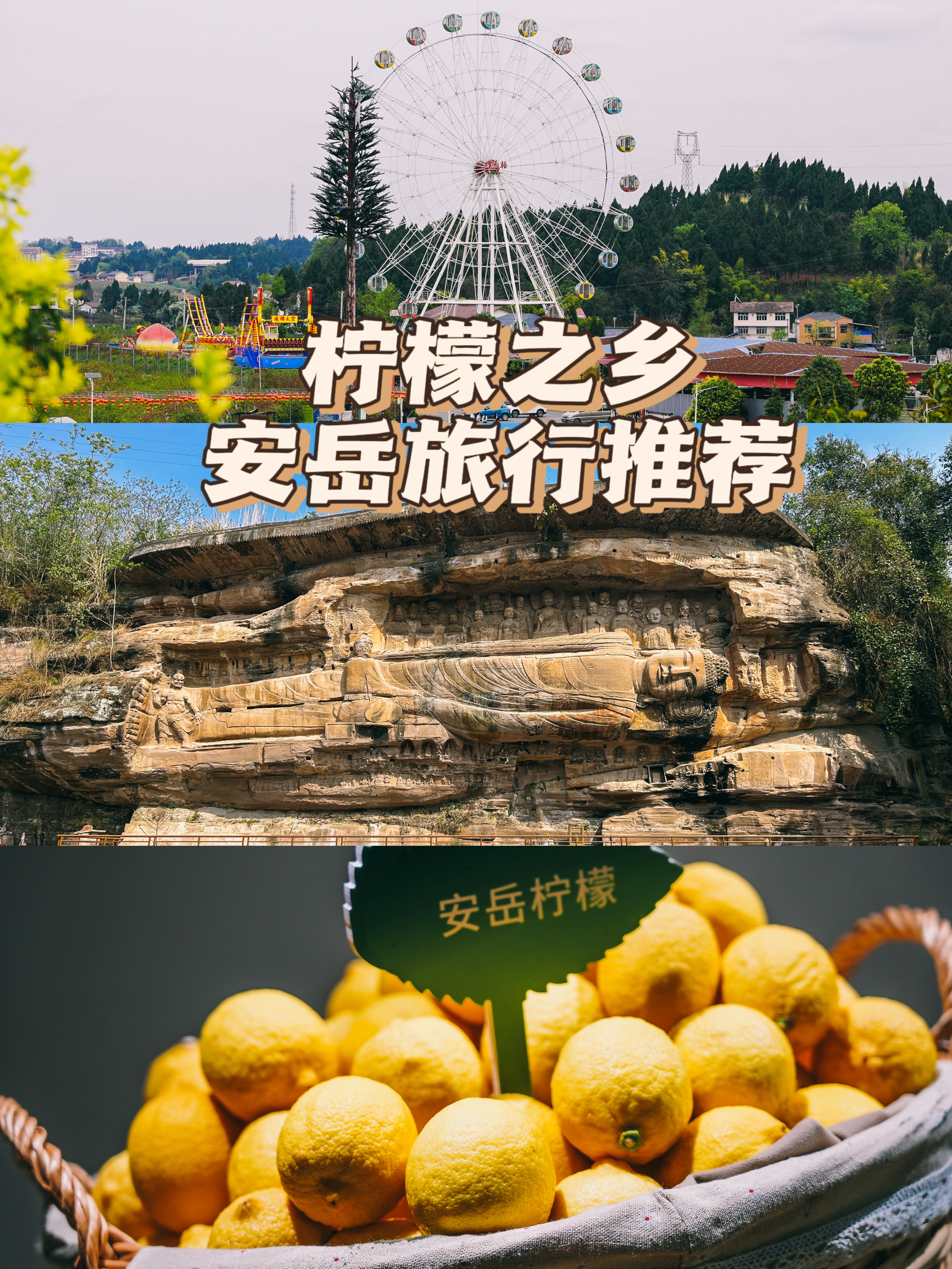 种草四川安岳“柠檬之乡”的旅游攻略