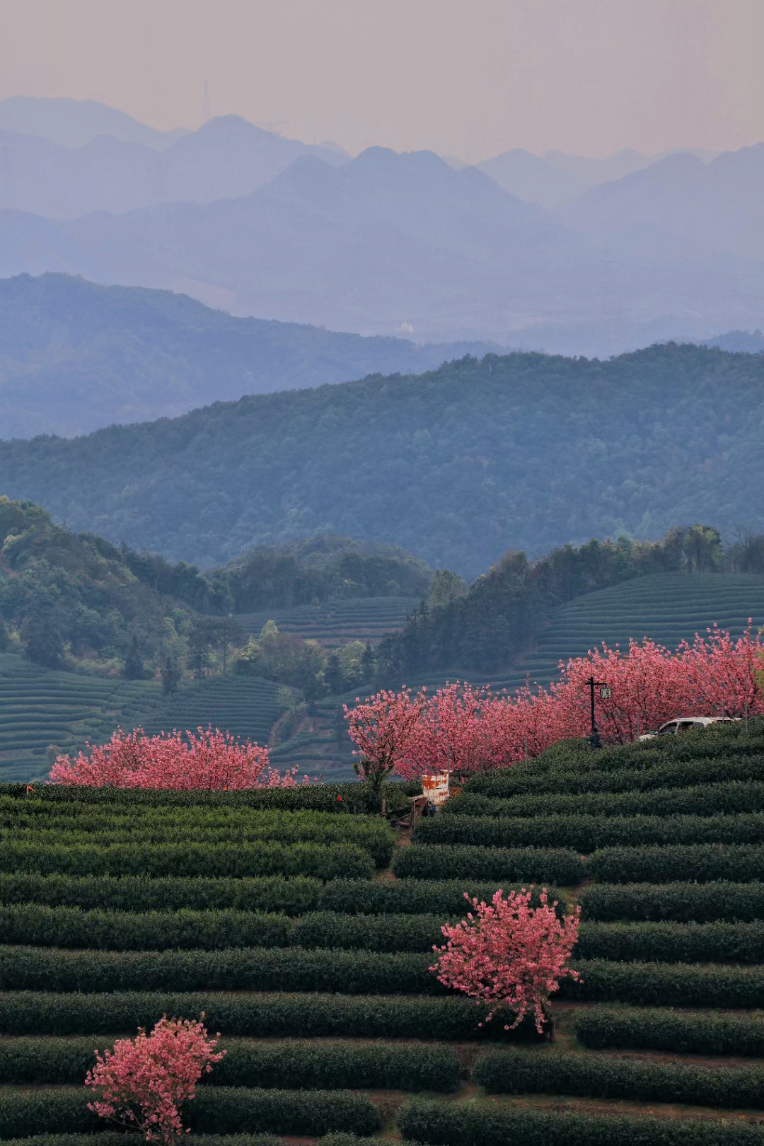 杭州富阳拔山村，现实版上春山