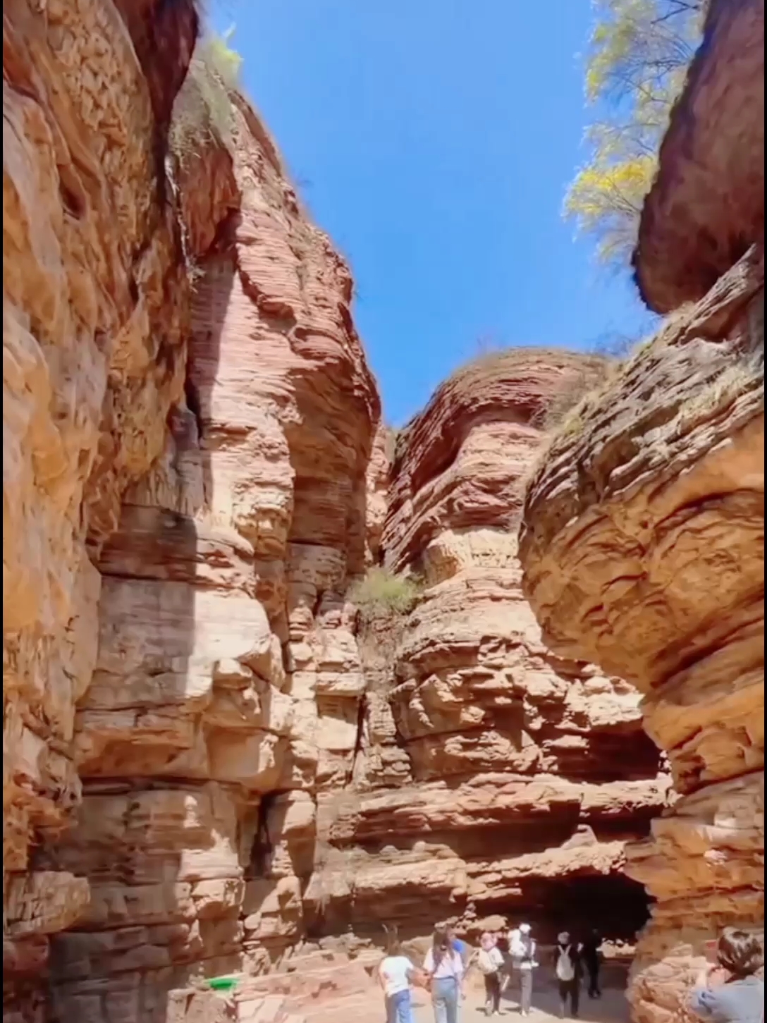 既是红色旅游胜地，也是一片令人陶醉的风光之地，那就是黎城的黄崖洞。#旅游推荐官