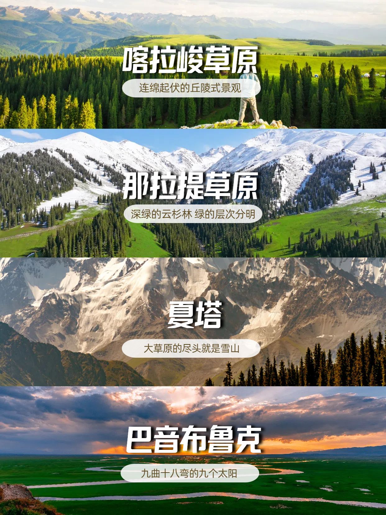 新疆旅游|伊犁草原不知道怎么选🌲看这篇