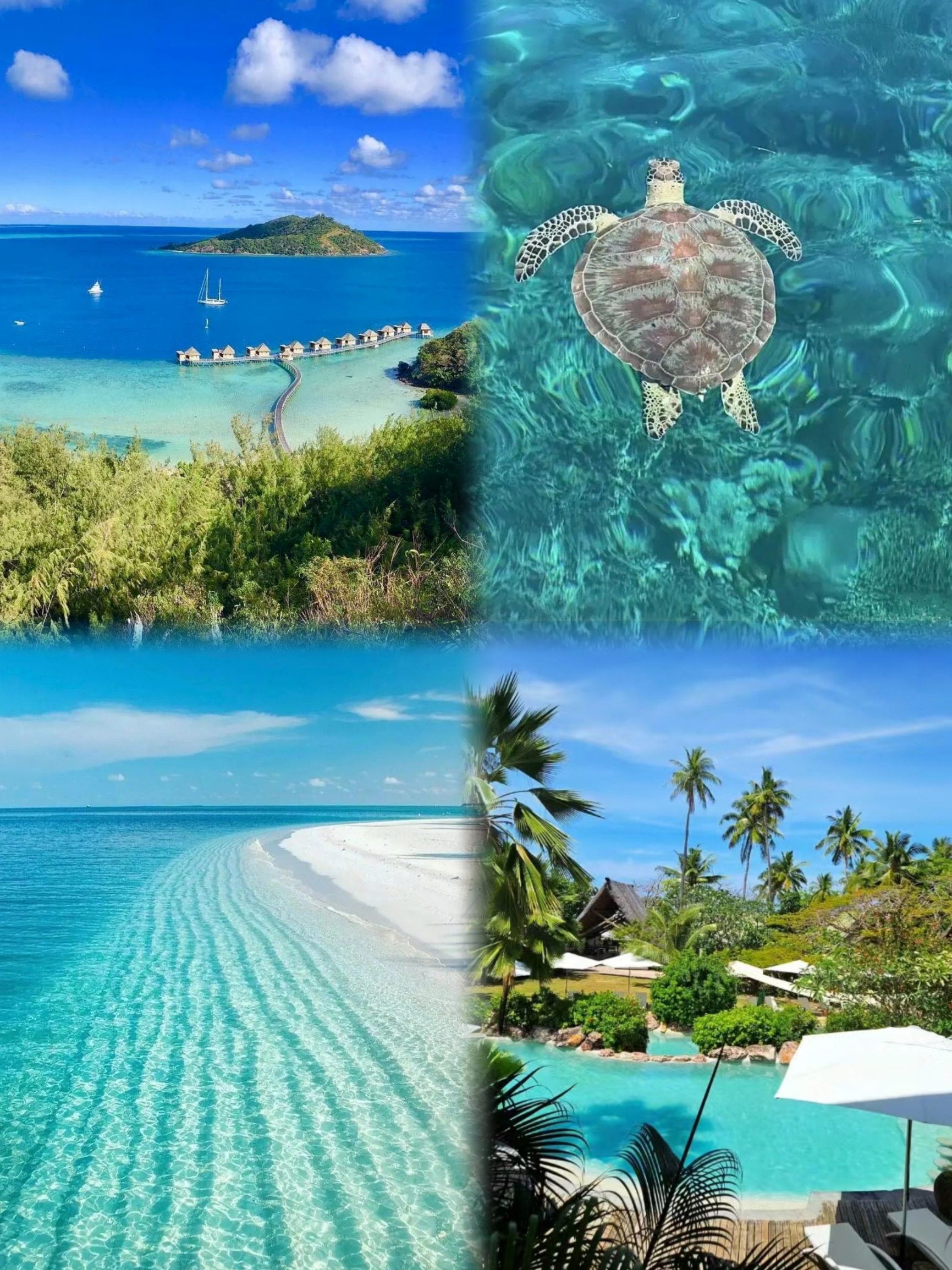 斐济｜愿望是看遍世界的海～