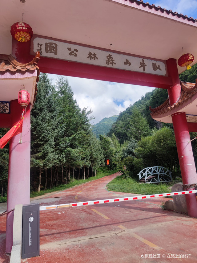 武山卧牛山森林公园空气特别清新