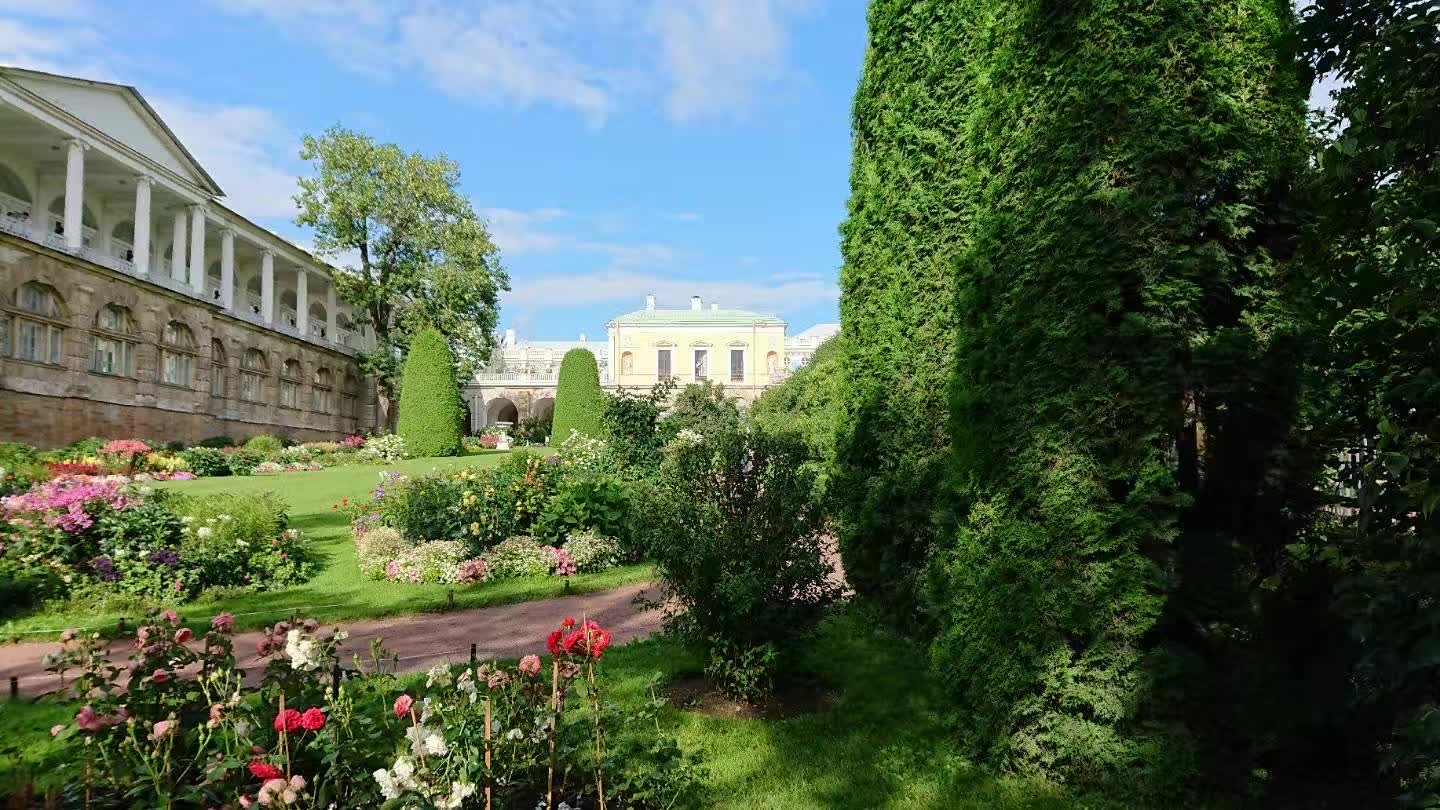 【圣彼得堡】皇村叶卡捷琳娜那一世别墅，这座名胜是以豪华的宫殿群为中心的，在诺大的一座庄园里树木枝叶繁