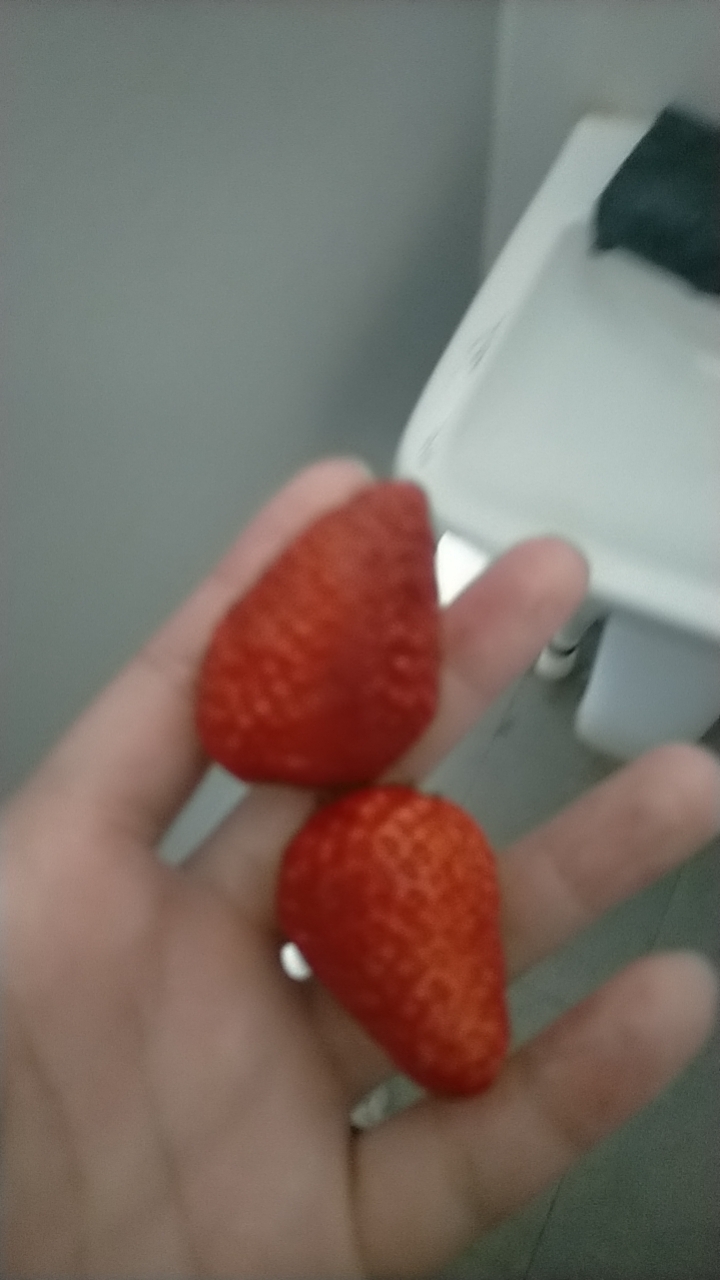 雄安的草莓