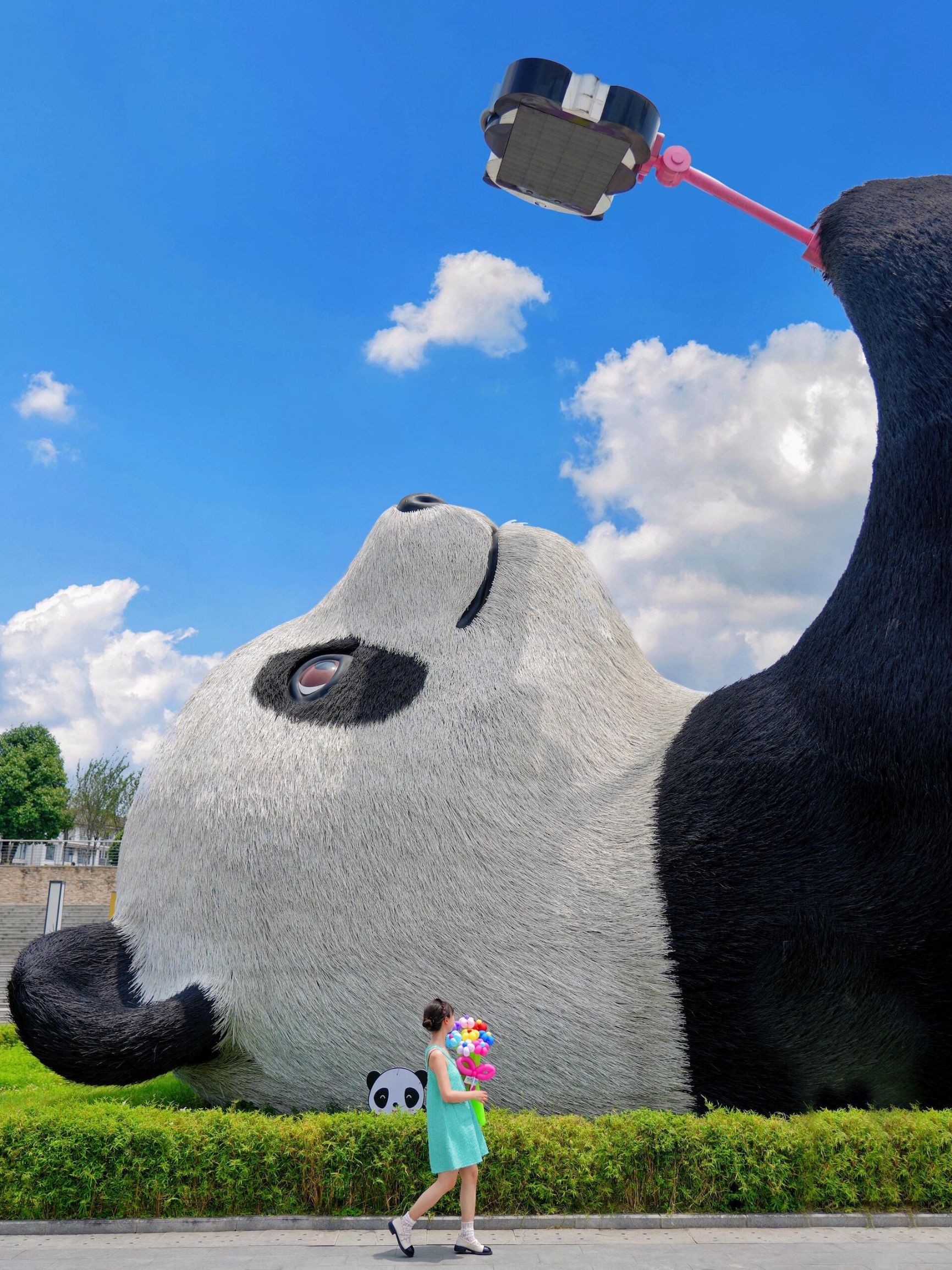 为了世界最大熊猫🐼我飞了趟成都‼️（附机位）
