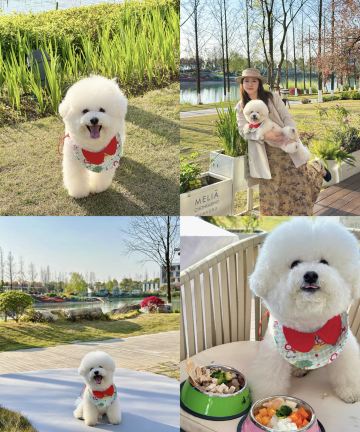 重庆美利亚酒店图片