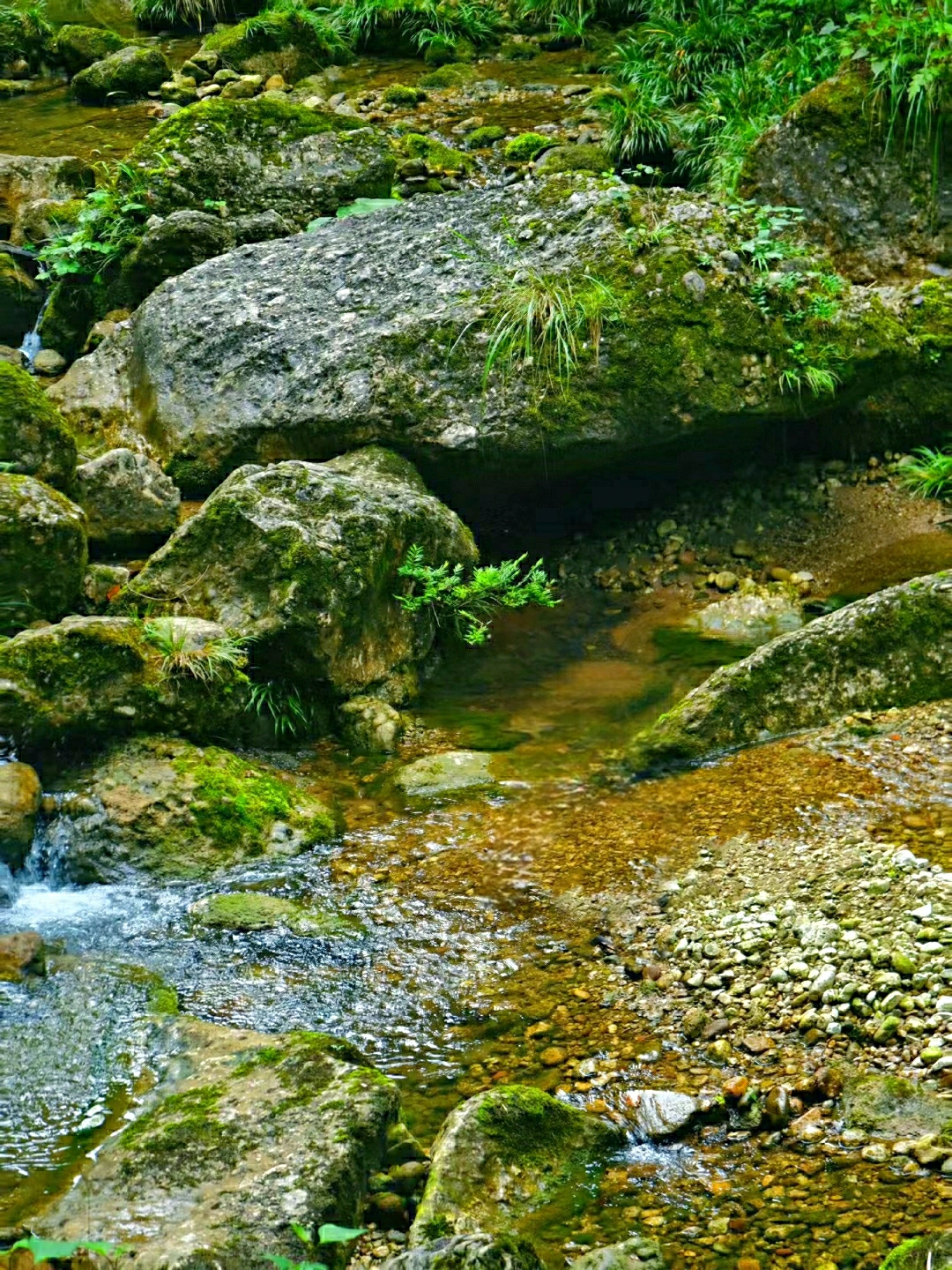 成都周边 | 清凉小众徒步耍水秘境🍃