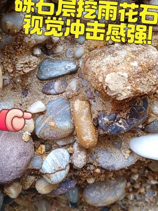 砾石层挖雨花石，视觉冲击感强！