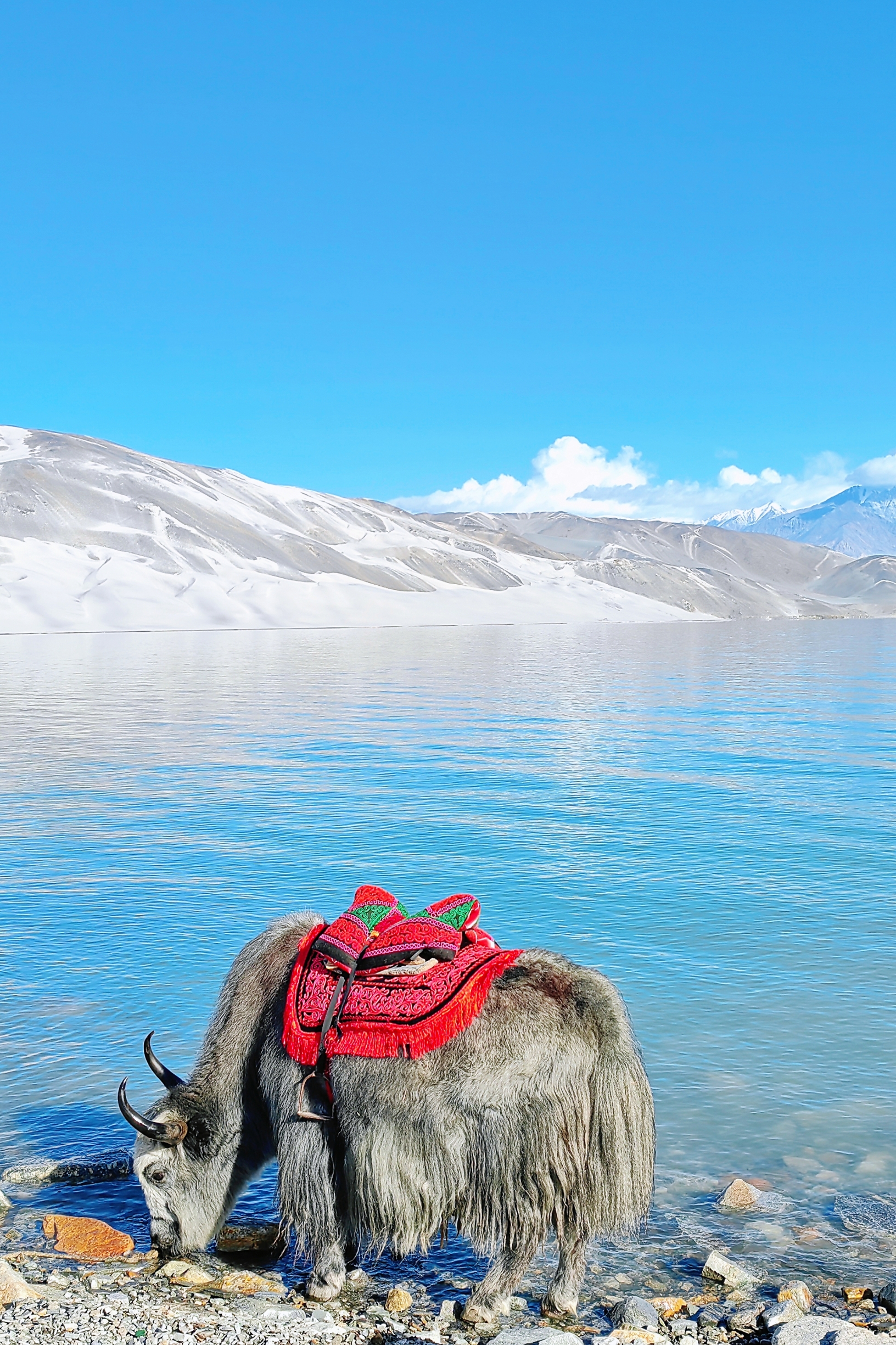 塔漂咖啡馆餐厅图片