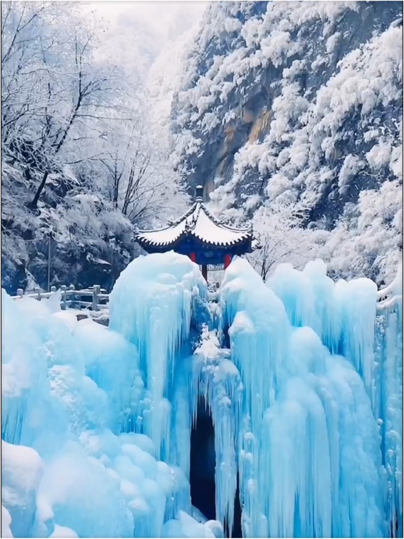 如果去不了东北，就来青峰峡森林公园看冰瀑吧，不用爬山，景交车直达冰瀑！！#冬日漫游指南 #玩转户外 