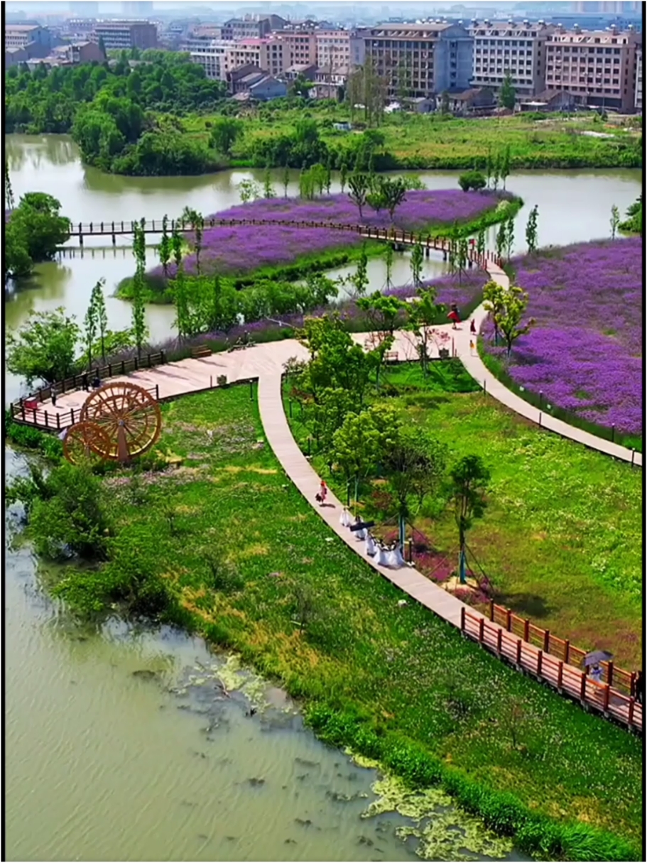 台州八份村湿地公园