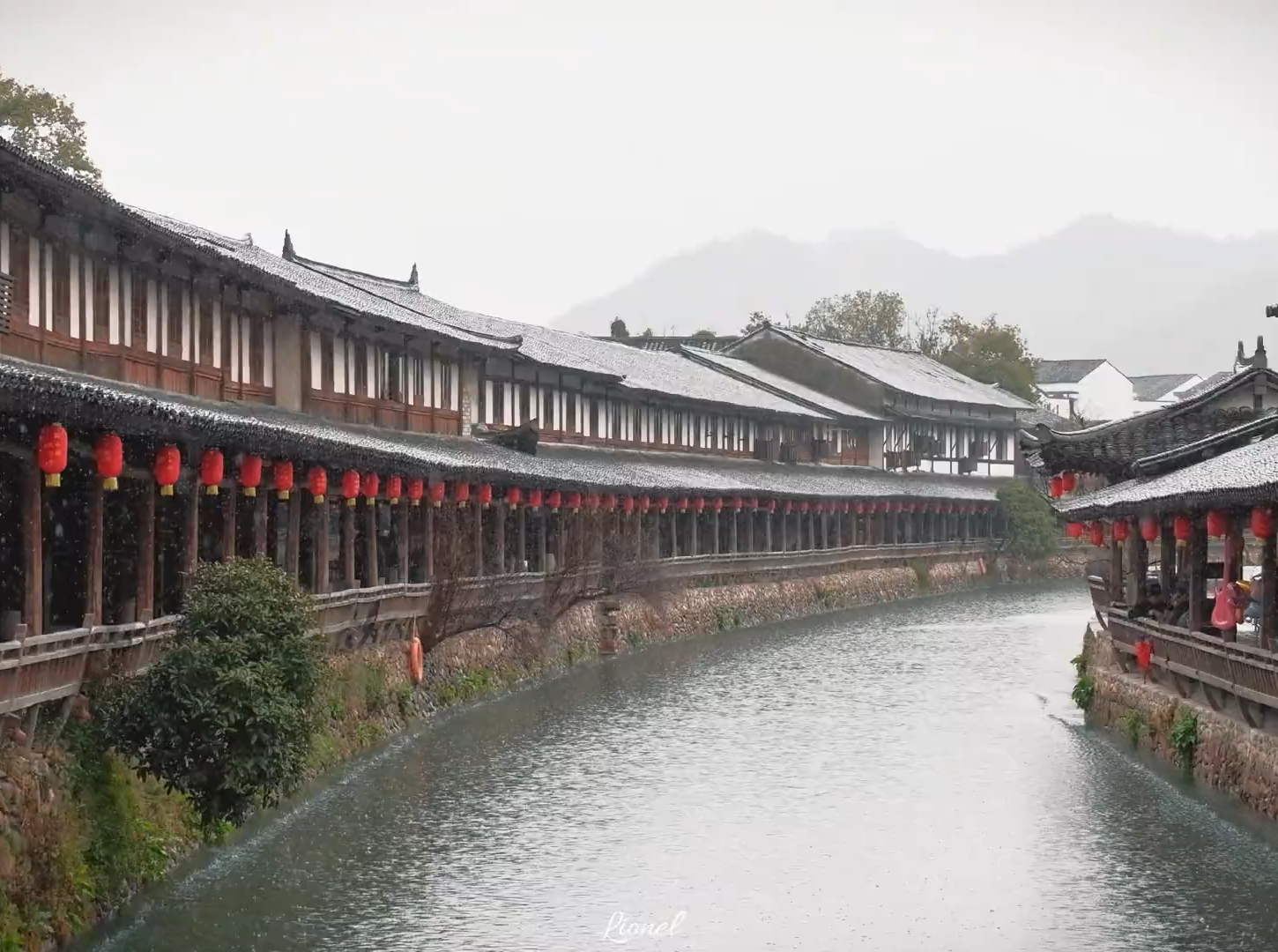 在温州｜一不小心闯入江南版“秘境”古街🏮 青砖灰瓦古房，还有小桥流水，一排排红灯笼街梁，百年古樟树…